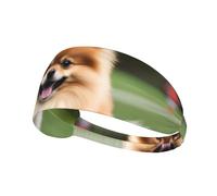 Elastic Sports Headband Hairband YYHWHJDE Happy short-haired pomeranian Pattern Soft, Breathable, Quick-Dry