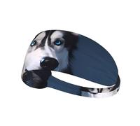 Elastic Sports Headband Hairband YYHWHJDE Husky Dog Pattern Quick Drying, Moisture Wicking