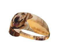 Elastic Sports Headband Hairband YYHWHJDE Labrador Retriever Dog Pattern Quick Drying, Moisture Wicking
