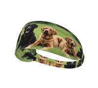 Elastic Sports Headband Hairband YYHWHJDE labrador retriever Dogs Pattern Soft, Breathable, Quick-Dry