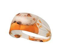 Elastic Sports Headband Hairband YYHWHJDE Little fat sheep on the pumpkin Picture Soft, Breathable, Quick-Dry