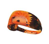 Elastic Sports Headband Hairband YYHWHJDE Little Orange Hedgehog Prints Athletic Band for Women, Men