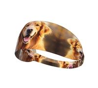 Elastic Sports Headband Hairband YYHWHJDE Lovely Golden Retriever Dog Pattern Soft, Breathable, Quick-Dry