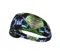 Elastic Sports Headband Hairband YYHWHJDE Panther With Blue Eyes Pattern Soft, Breathable, Quick-Dry