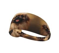 Elastic Sports Headband Hairband YYHWHJDE Pekingese Dog Pattern Soft, Breathable, Quick-Dry