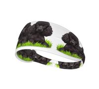Elastic Sports Headband Hairband YYHWHJDE poodles dogs Picture Soft, Breathable, Quick-Dry