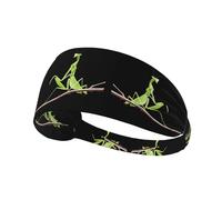 Elastic Sports Headband Hairband YYHWHJDE Praying Mantis on a Branch Pattern Spandex, Soft, Breathable, Quick-Dry