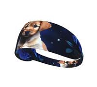 Elastic Sports Headband Hairband YYHWHJDE Puppy Blue Rose Pattern Quick Drying, Moisture Wicking