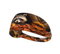 Elastic Sports Headband Hairband YYHWHJDE Raccoon in The Fall Tree Hole Pattern Soft, Breathable, Quick-Dry