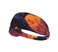 Elastic Sports Headband Hairband YYHWHJDE Ravens Picture Soft, Breathable, Quick-Dry