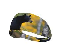 Elastic Sports Headband Hairband YYHWHJDE rge and small black bears Pattern Soft, Breathable, Quick-Dry