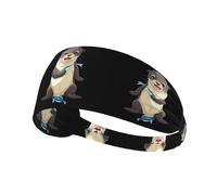 Elastic Sports Headband Hairband YYHWHJDE Sea lion cub eating fish Pattern Quick Drying, Moisture Wicking