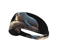 Elastic Sports Headband Hairband YYHWHJDE Seal on The Rocks Watching The sea Prints Athletic Band for Women, Men