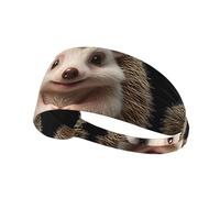 Elastic Sports Headband Hairband YYHWHJDE Shy little hedgehog Pattern Quick Drying, Moisture Wicking
