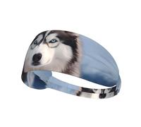 Elastic Sports Headband Hairband YYHWHJDE Siberian Husky Pattern Quick Drying, Moisture Wicking
