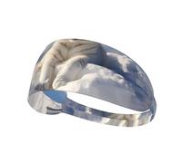 Elastic Sports Headband Hairband YYHWHJDE Snowy Mountain White Tiger Picture Soft, Breathable, Quick-Dry