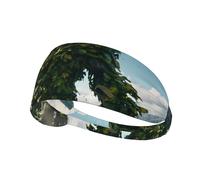 Elastic Sports Headband Hairband YYHWHJDE Stone Beast Picture Soft, Breathable, Quick-Dry