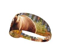 Elastic Sports Headband Hairband YYHWHJDE Strong brown bear Picture Soft, Breathable, Quick-Dry