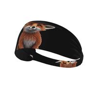 Elastic Sports Headband Hairband YYHWHJDE The fox wearing a witch hat Pattern Soft, Breathable, Quick-Dry