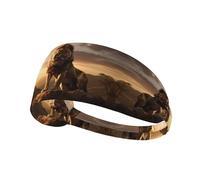 Elastic Sports Headband Hairband YYHWHJDE The Lion King Pattern Quick Drying, Moisture Wicking
