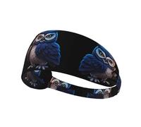 Elastic Sports Headband Hairband YYHWHJDE The Owl That Never Sleeps Pattern Soft, Breathable, Quick-Dry