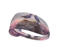 Elastic Sports Headband Hairband YYHWHJDE Two Birds on a Rock Prints Athletic Band for Women, Men