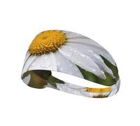 Elastic Sports Headband Hairband YYHWHJDE White Daisy Picture Soft, Breathable, Quick-Dry