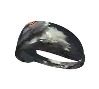 Elastic Sports Headband Hairband YYHWHJDE White Owl Picture Soft, Breathable, Quick-Dry