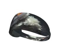 Elastic Sports Headband Hairband YYHWHJDE White Owl Prints Athletic Band for Women, Men