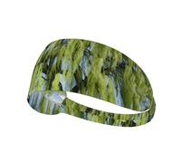 Elastic Sports Headband Hairband YYHWHJDE Willow Tree Picture Soft, Breathable, Quick-Dry