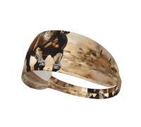 Elastic Sports Headband, Sweat-Absorbing Headband, Western Horse, Outdoor Sports, Elastic Headband, Fitness, Sports, Yoga, Cycling, Headband