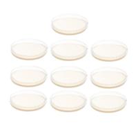 ELAYARD 10Pcs Pre Poured Agar Plates for Stem Science Projects Ready to Use Nutrient Agar Petri Dishes for Experiments and Bacteria Culture Convenient