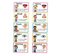ELAYARD 2 Sets Early Learning Flash Cards for Sensory Cognitive Posters for Preschool Kindergarten Visual Stimulation Educational Cards for Home Classroom and Daycare Use