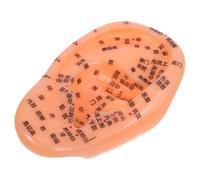 ELAYARD Ear Model Reflexology Teaching Aid for Traditional Chinese Medicine Ear Reflex Zone Model for Massage and Acupuncture Practice in Education and Clinical Use