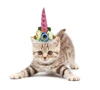 ELAYARD Funny Unicorn Pet Hat Pink Cloth Material for Cats and Dogs with Comfortable and Gentle Design, for Photo Shoot and Christmas Party Costumes