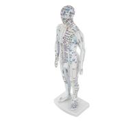 ELAYARD Human Acupuncture Model Male Mannequin with Acupoints and Meridians for Traditional Chinese Medicine Learning Pressure Point Massage Tool for Clinics Classrooms and Home Study