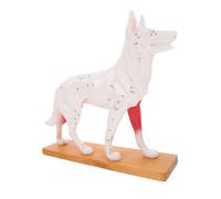 ELAYARD Professional Dog Body Acupuncture Model Medical Teaching Tool for Veterinary Students Detailed Canine Anatomy Acupuncture Point Study Aid for Laboratory and Classroom Use