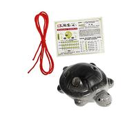 ELAYARD Turtle Shape Beginners Ocarina Flute with Professional Tone Holes and Natural Sounds, Synthetic Material Portable Ocarina with Lanyard for Introductory Music Practice Random Color