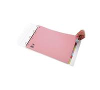 Elba 10-Part (Pack of 2) Card Divider Recycled Manilla A3 Assorted 100080772 + FINCHLEY Pen Free