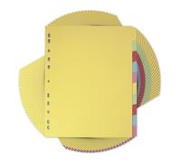 Elba A4 10 part file dividers, Assorted, Pack of 25 Folders