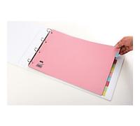 Elba Card Divider Europunched 10-Part A3 Assorted - 100080772