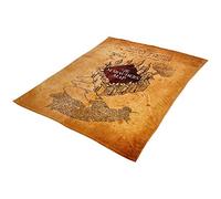 Elbenwald Harry Potter fluffcover with the map of the rum driver motif unisex 180 x 220 cm from Ökotex100 polyester beige