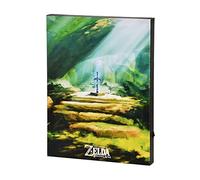 Elbenwald Zelda Mastersword Wall Art with Light Battery Operated 30 x 40 x 3.8 cm