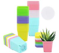 Elcoho 36 Pack 2.7 Inch Square Plants Nursery Pot Multi Color Plastic Plant Seedling Pots Flower Pots Nursery Transplanting Planter Container with Saucer for Your Room, Garden Office and Balcony Decor