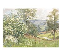 Elderberry, Margaret Tarrant - Medici Print