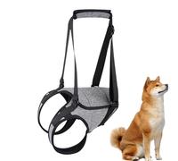 Elderly Dog Lifting Harness - Pet Walking Assistance Harness - Dog Stairs Helper, Back Leg Support' Harness For Ca