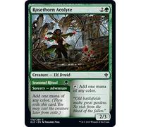 Eldraine Royalty Throne of Eldraine ELD Apprentice Rosethorn Acolyte Magic the Gathering mtg