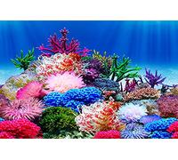 ELEBOX Aquarium Background Poster, Undersea Water Plants Sea Anemone Coral Aquarium Decor Background Double Sides Fish Tank Background Sticker Decorations 10 Gallon 20 Gallon Tank 11.8"x 32.3"