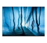 ELEBOX Fish Backgrounds Paper Double Sides 3D Stone & Trees Aquarium Background Picture 12" x 32" Fish Tank Background