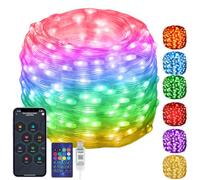 Electight 20M Fairy String Lights RGB Smart IC Multicolor, APP & Remote | 99+ Modes Dimmable, Waterproof, USB Powered, Christmas Halloween Lights,for Indoor& Outdoor, Wedding, Deco